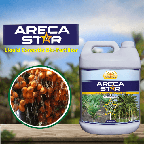 best fertilizer for areca plants Anshul Areca Star (Liquid Fertilizer for Arecanut) – Agriplex