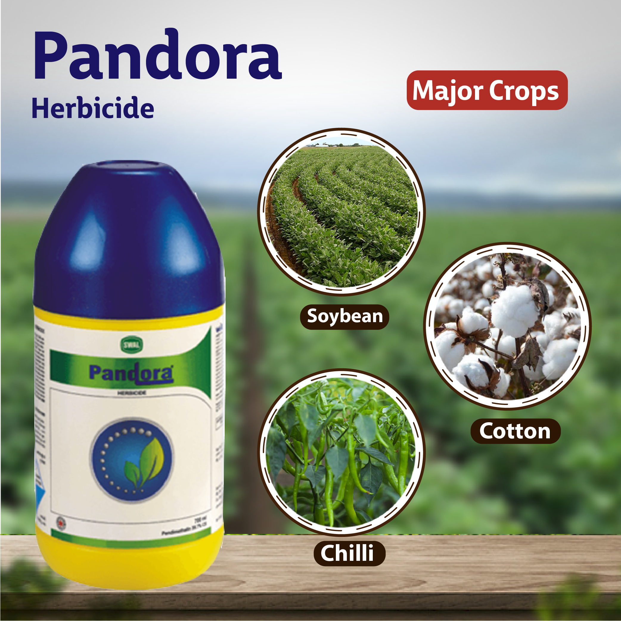chilli herbicide Swal Pandora Fungicide
