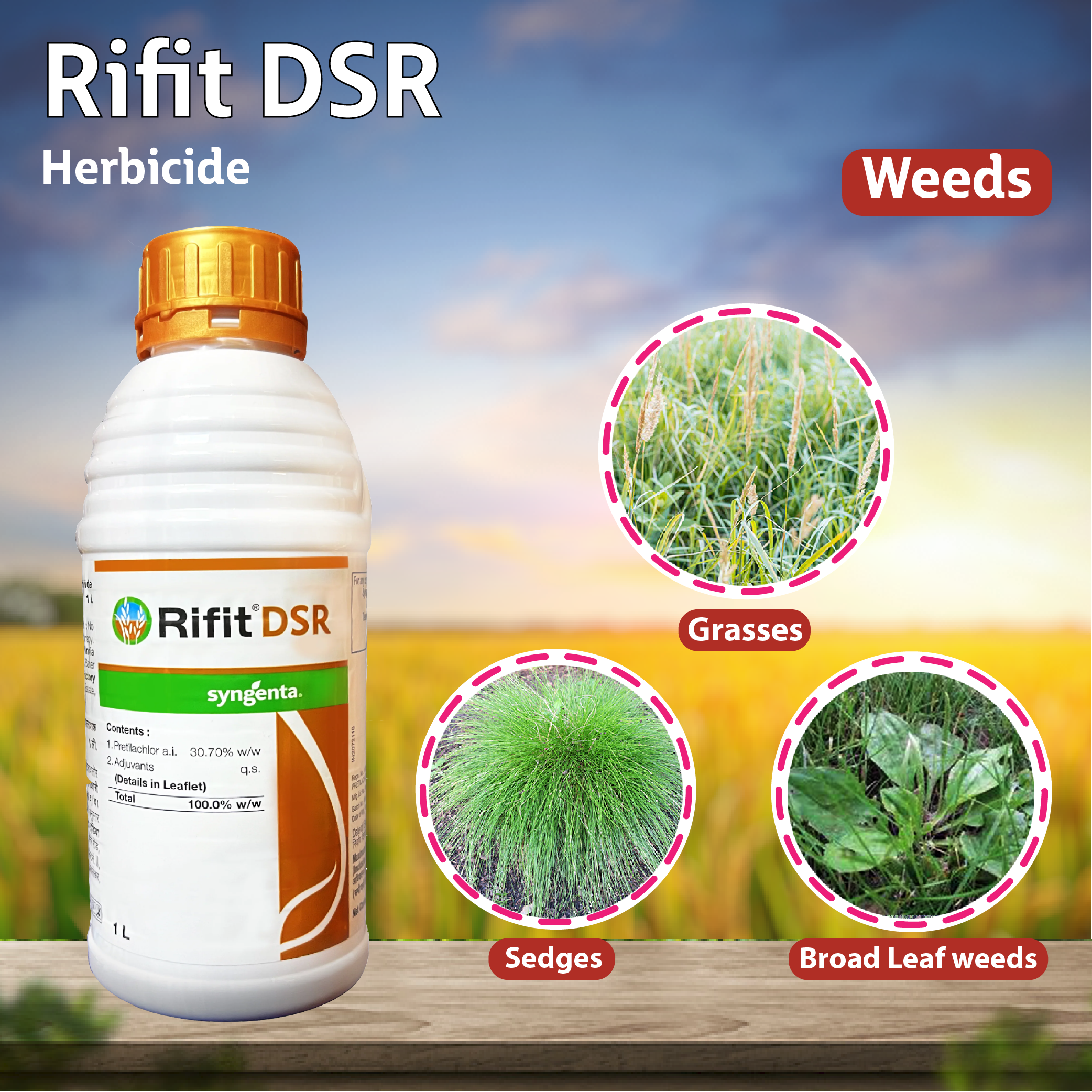 rifit herbicide Syngenta Rifit DSR Herbicide – Agriplex