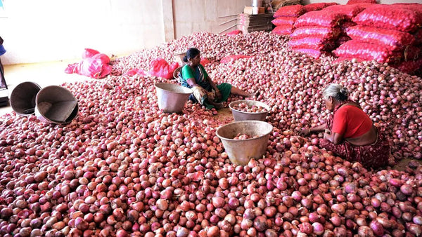 Onion Prices Surge in Lasalgaon: Heavy Rainfall Damages Kharif Crop, Supply Tightens