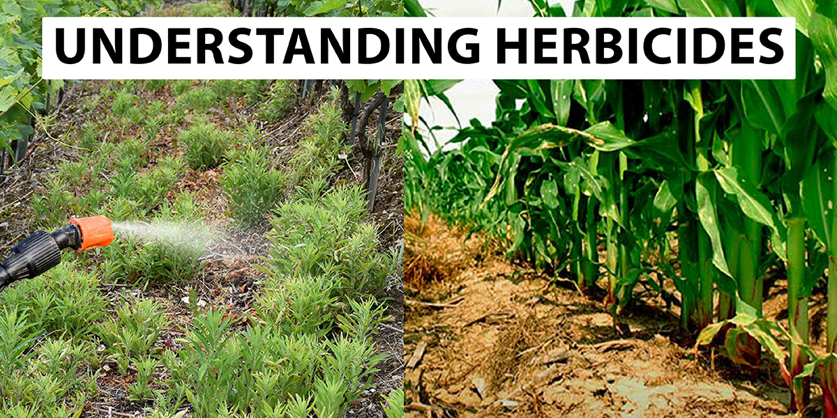 Understanding Herbicides: Types, Mechanisms, and Application Methods - Agriplex