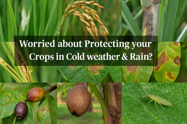 Protecting your Crops in Cold & Rain