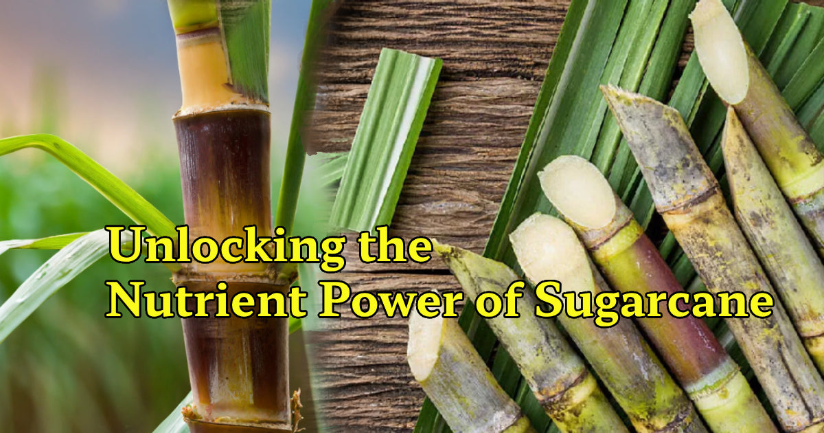Sweet Secrets: Unlocking the Nutrient Power of Sugarcane - Agriplex