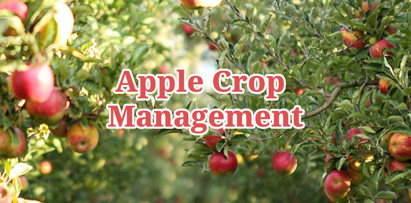 Apple Crop Management - Agriplex