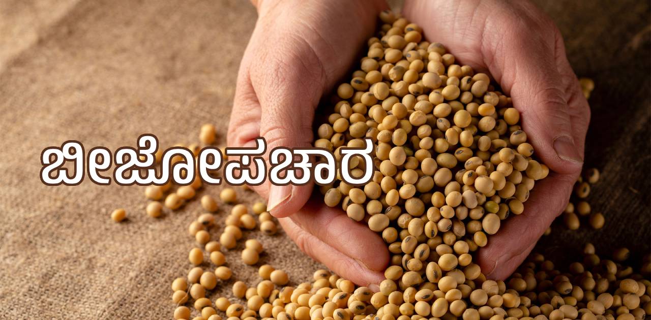 ಕೃಷಿಯಲ್ಲಿ ಬೀಜ ಸಂಸ್ಕರಣೆಯ ಪ್ರಯೋಜನಗಳು - Agriplex