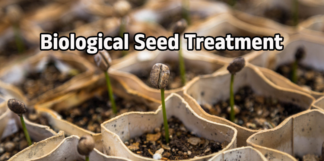 Biological Seed Treatment - Agriplex