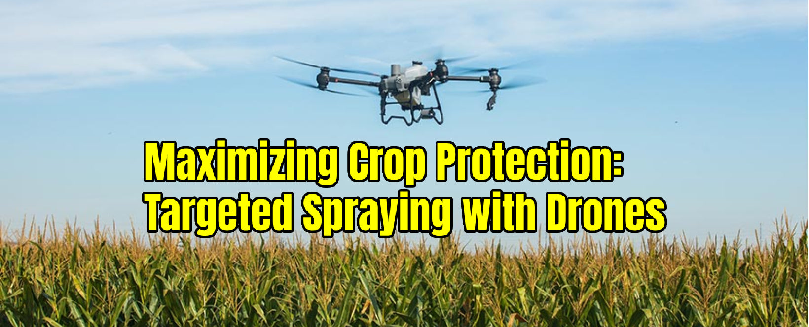 Maximizing Crop Protection: Targeted Spraying with Drones