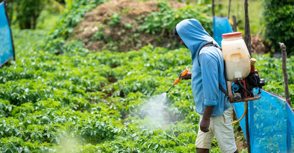 Centre Approves ₹37,952 Crore Fertiliser Subsidy for Rabi 2025-26 to Keep Prices Stable for Farmers