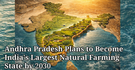 Andhra Pradesh Plans to Become India’s Largest Natural Farming State by 2030