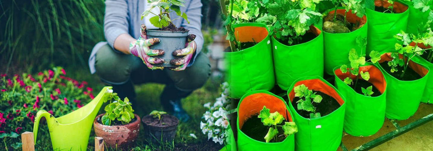 Terrace Gardening - Benefits and Drawbacks - Agriplex