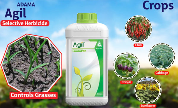Boost Crop Productivity with Adama Agil herbicide: A Comprehensive Guide