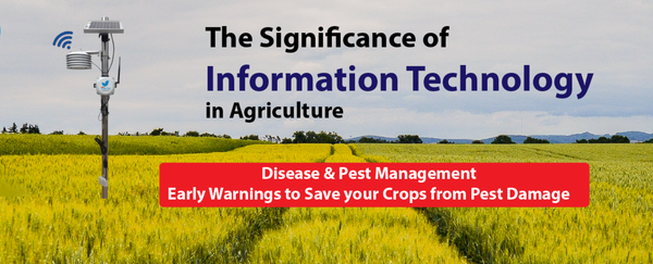 "Revolutionizing Agriculture: Maximizing Yield with GidaBits Soil Sensing Nodes"
