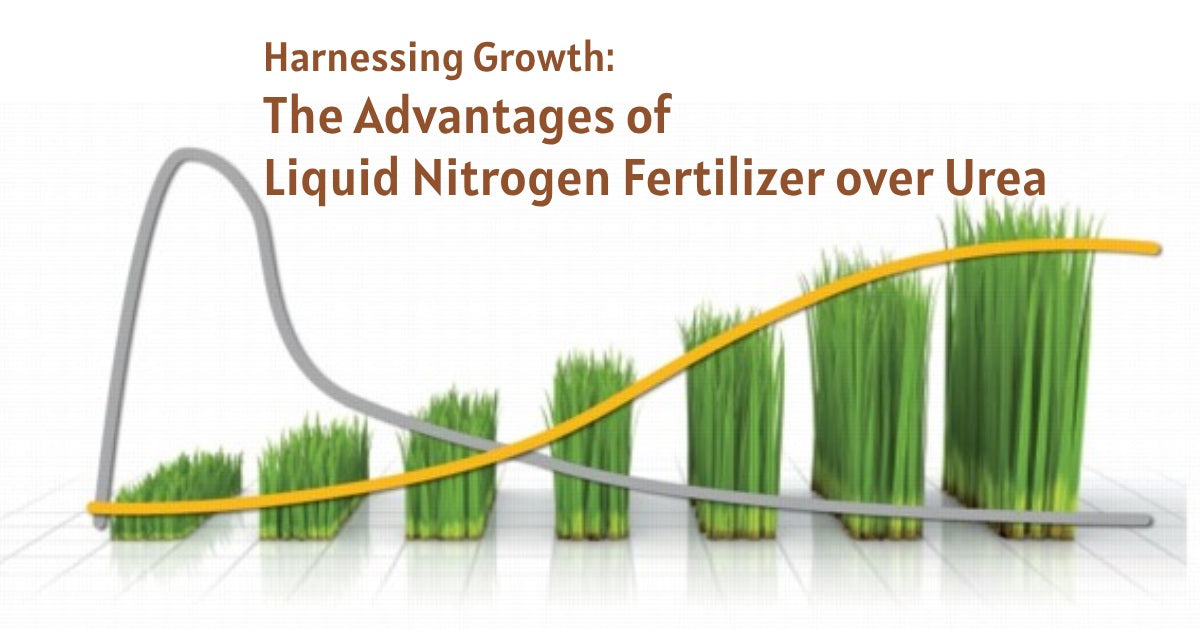 Harnessing Growth: The Advantages of Liquid Nitrogen Fertilizer over Urea - Agriplex