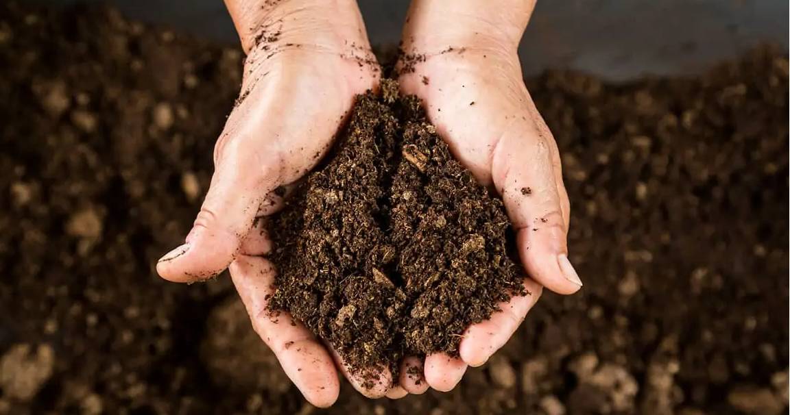 मृदा परीक्षण क्यों और कैसे करें - Agriplex