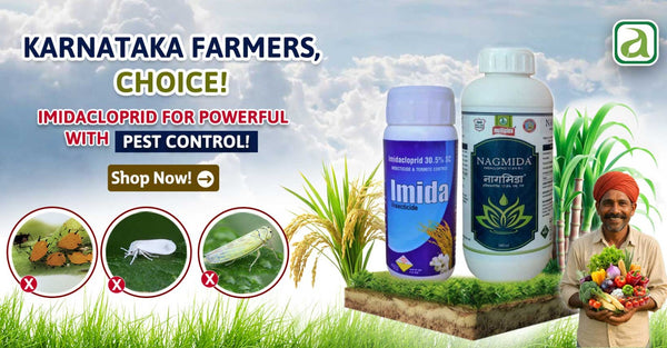 Why Imidacloprid Is a Must-Use Insecticide This Season: Pest Control Tips for Karnataka Farmers