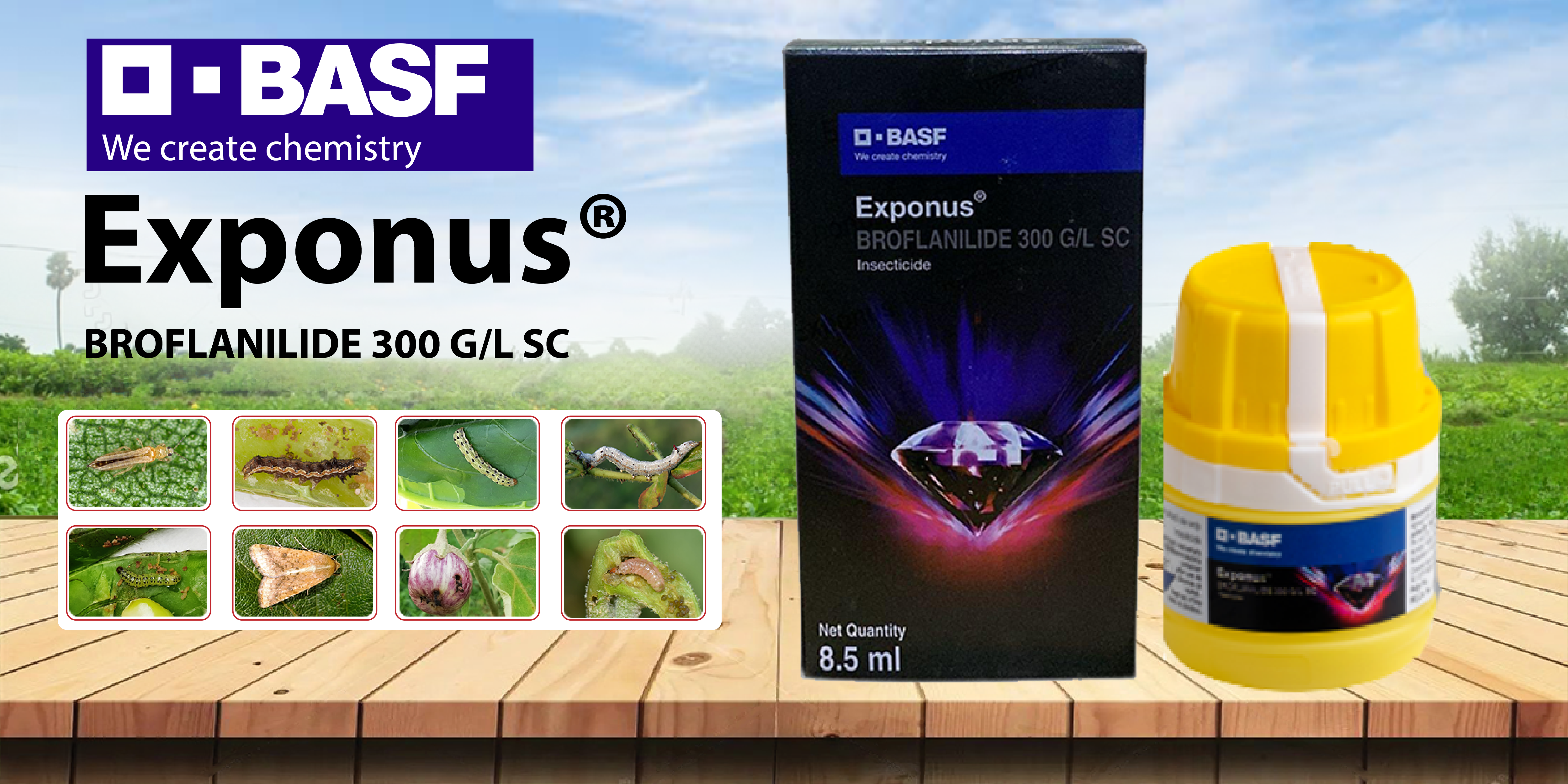 Exponus Insecticide by BASF: Empowering Farmers with Effective Pest Control - Agriplex