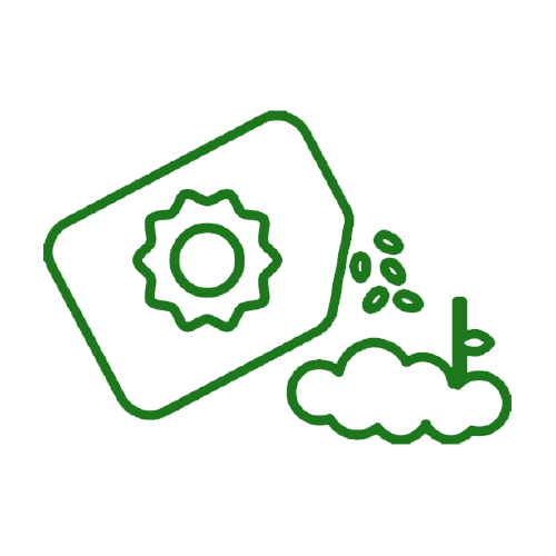 Flower Seeds - Agriplex