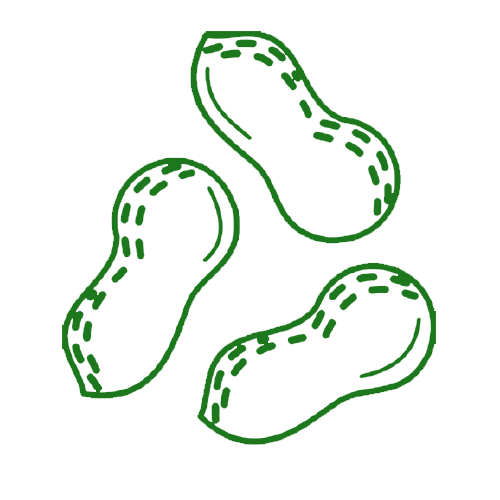 Ground nut - Agriplex