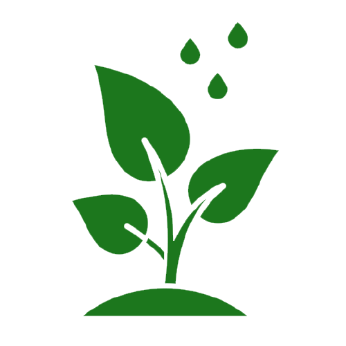 Plantation & Saplings - Agriplex