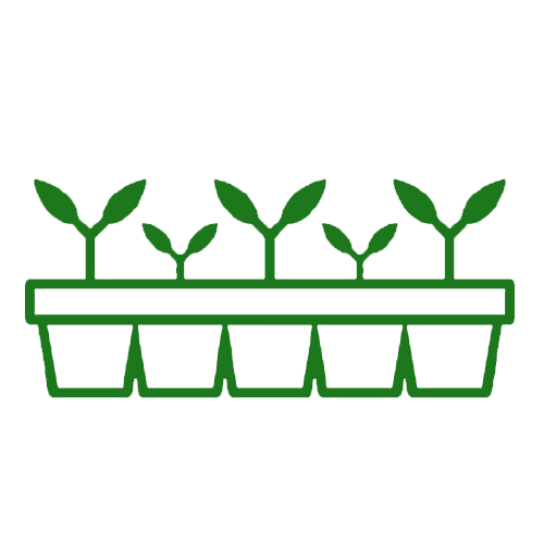 Seed trays - Agriplex