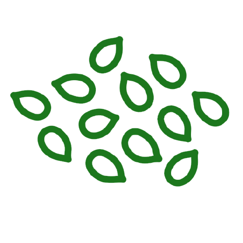 Soya Bean - Agriplex