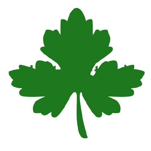 Coriander - Agriplex