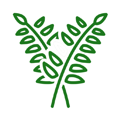 Curry leaf - Agriplex