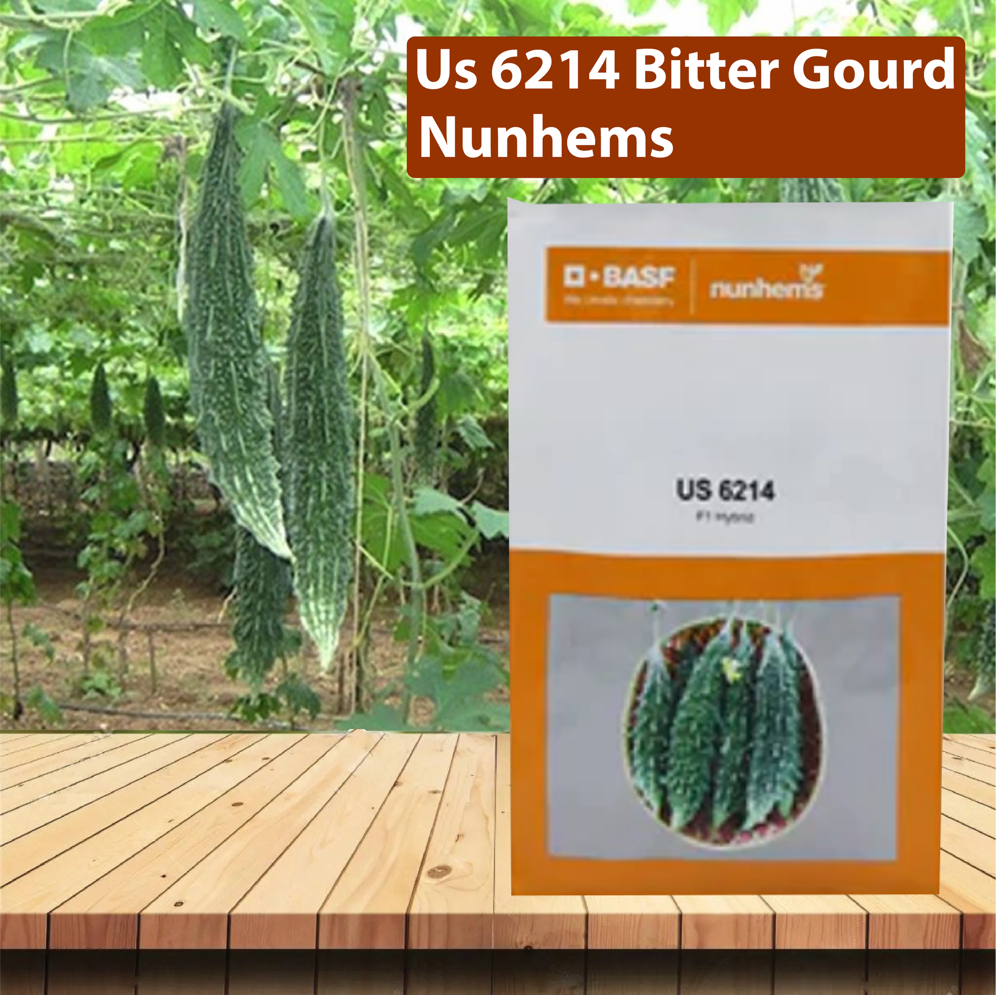 Nunhems Us 6214 Bitter Gourd Seeds - Pack of 250 Seeds - Agriplex