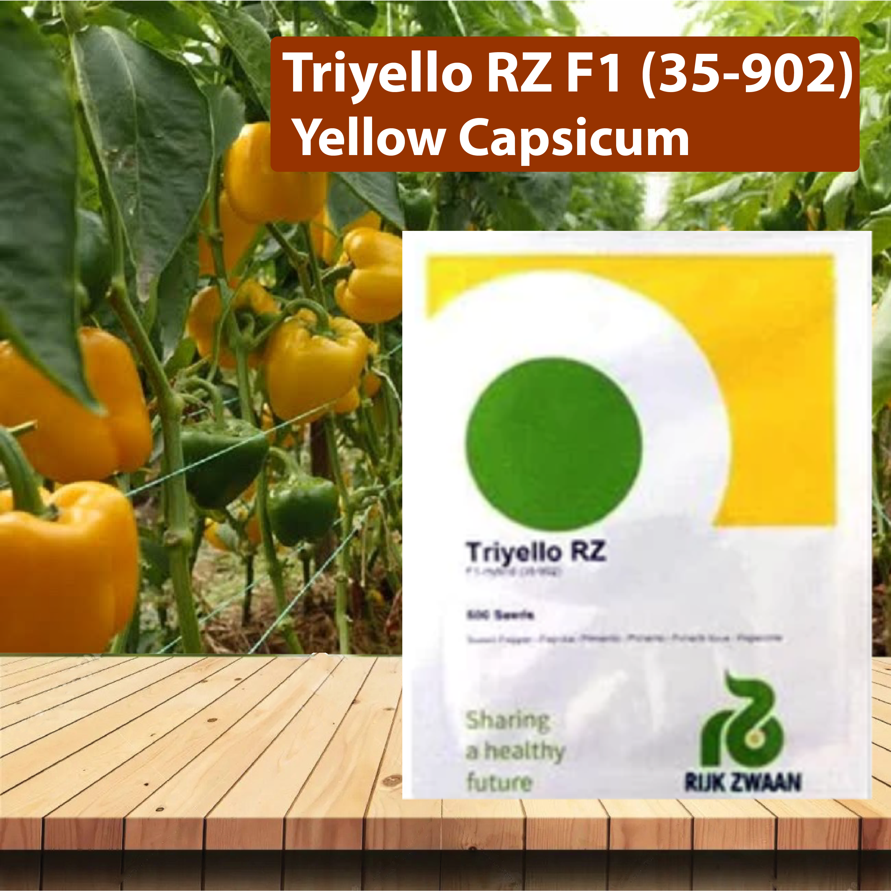 Triyello TRIYELLO RZ F1 (35-902) YELLOW CAPSICUM - 1000 SEEDS – Agriplex