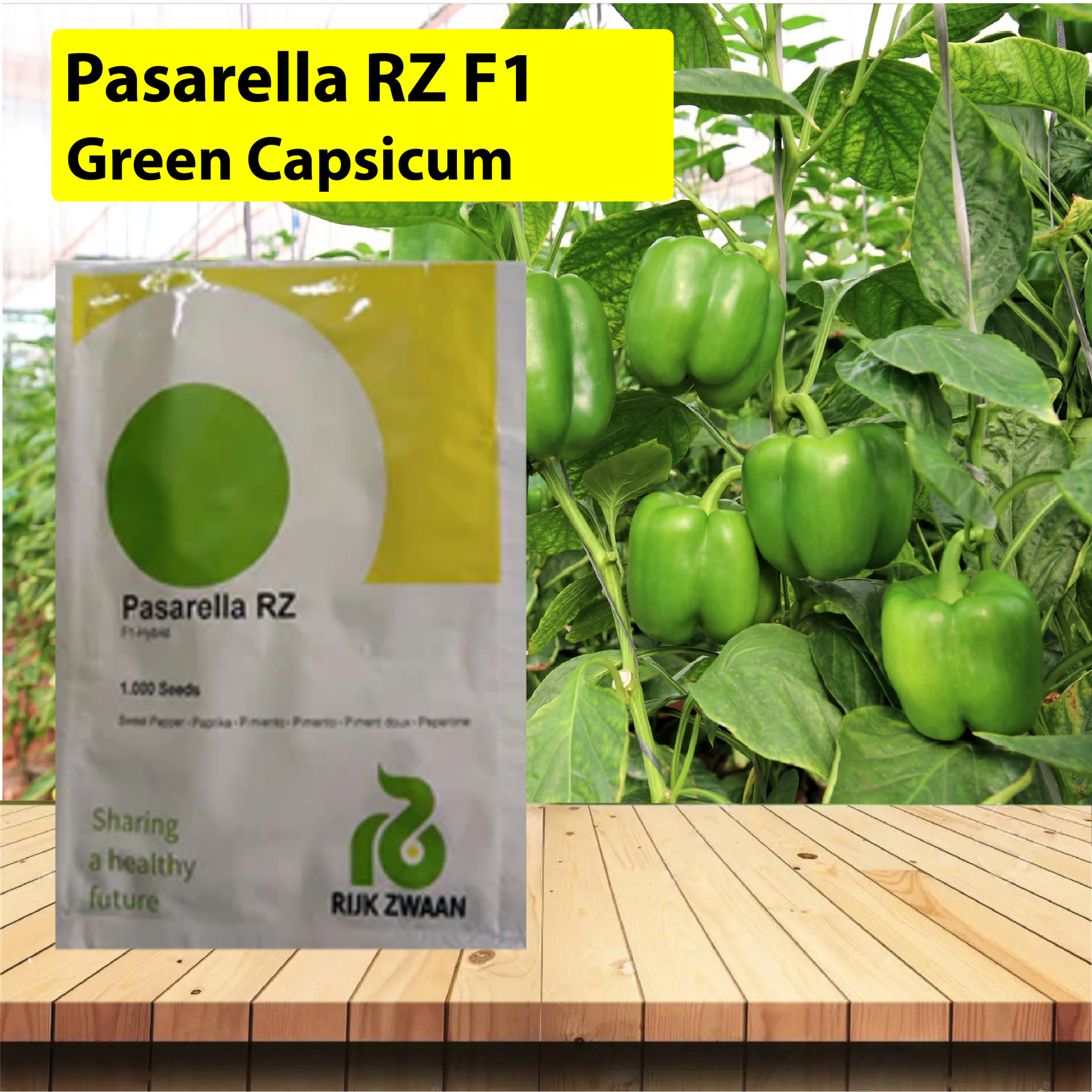 Pasarella RZ F1 Green Capsicum Seeds - 1000 SEEDS - Agriplex