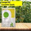 Cengel RZ F1 (22-193) Cucumber Seeds - 1000 SEEDS - Agriplex