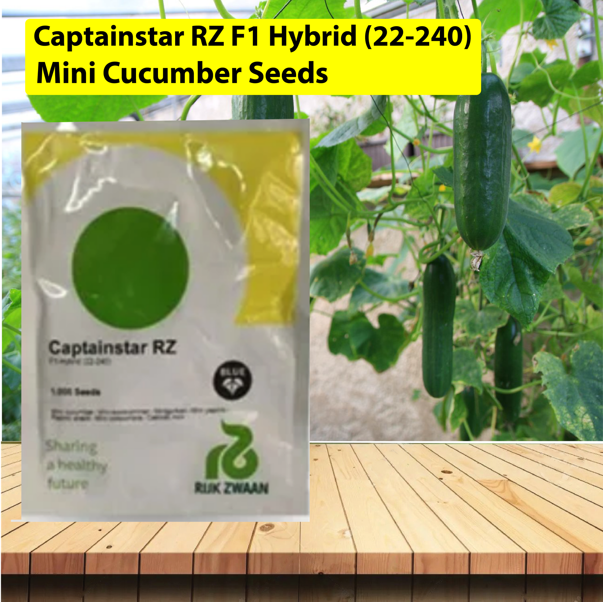 Captainstar RZ F1 Hybrid (22-240) - Mini Cucumber Seeds - 1000 SEEDS - Agriplex