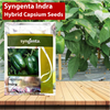 Syngenta Indra Hybrid Capsium Seeds - Agriplex
