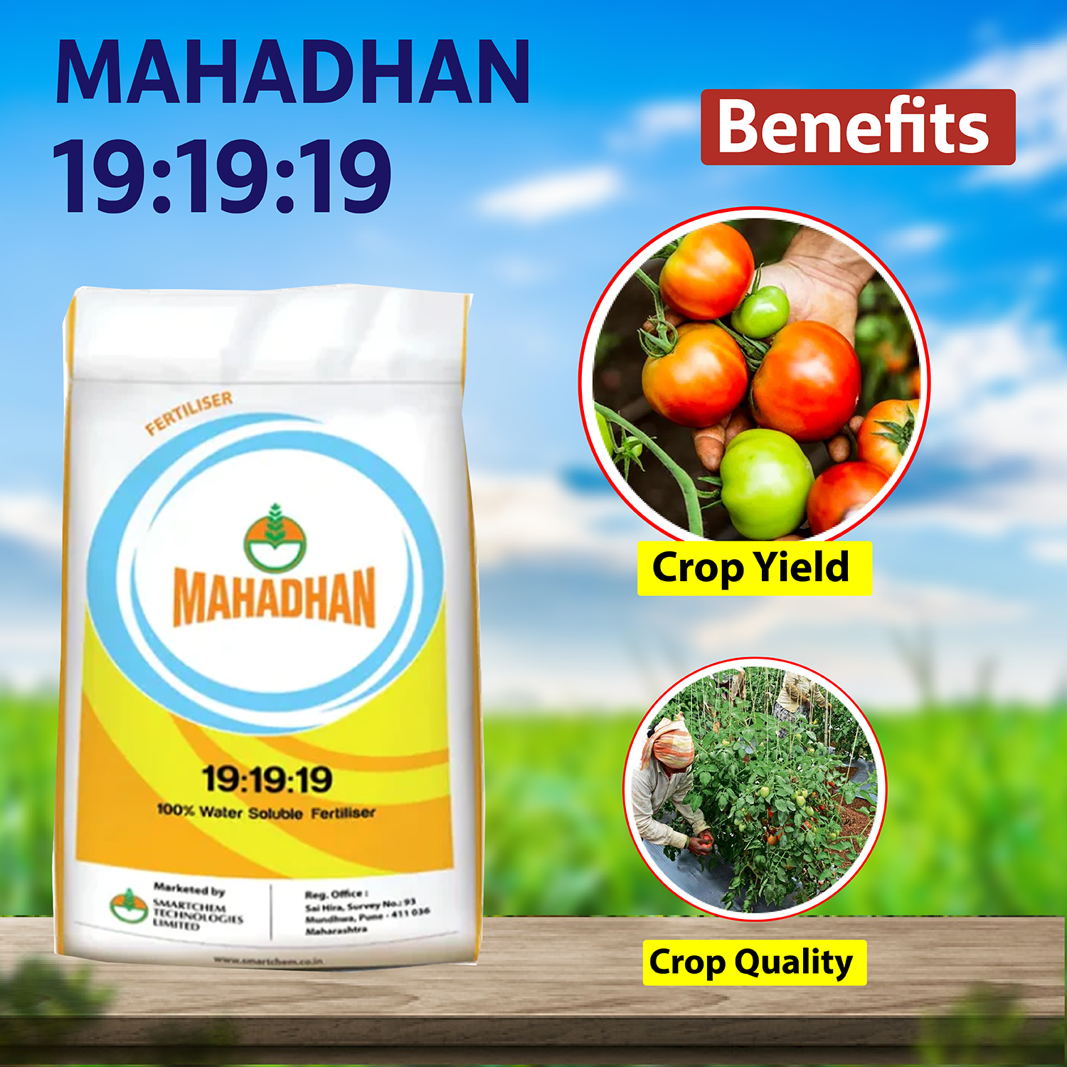 Mahadhan 19:19:19 Fertilizers - 1 KG - Agriplex
