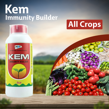 MBF Kem Insecticide