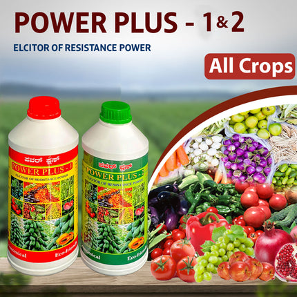 Greenlife Power Plus