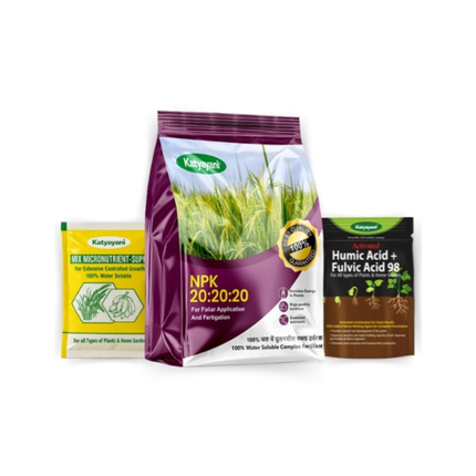 Katyayani Npk 20 20 20 | 3 In 1 Pack