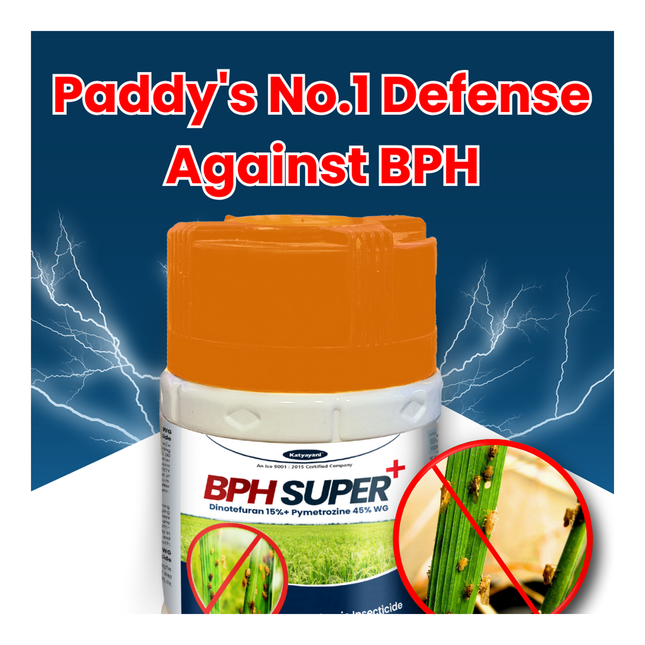 Katyayani Bph Super + | Dinotefuran 15% + Pymetrozine 45% Wg | Chemical Insecticide