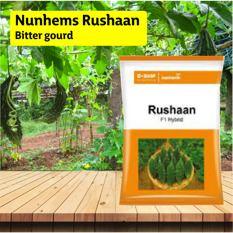 Nunhems Rushaan Bitter gourd - 250SEEDS - Agriplex
