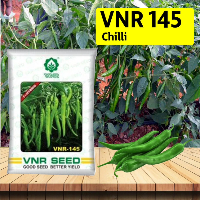 VNR 145 Chilli - 10 GM - Agriplex