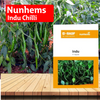 Nunhems Indu Chilli - 1500SEEDS - Agriplex