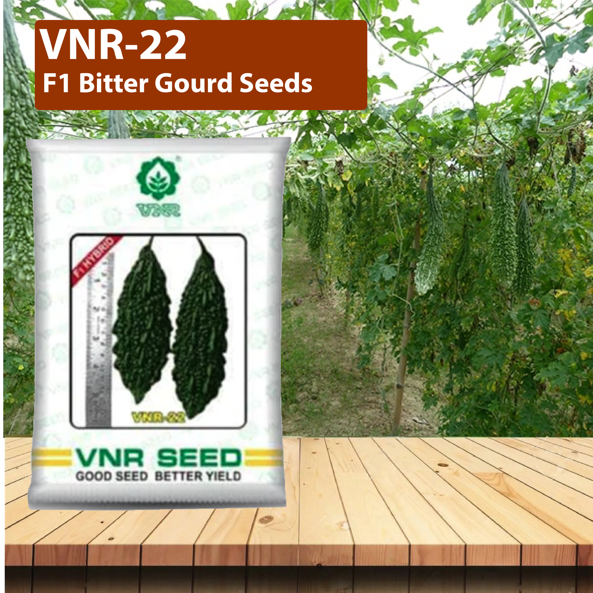 VNR 22 Bitter Gourd - 50 GM - Agriplex