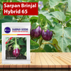 Sarpan Brinjal-65 Seeds - Agriplex
