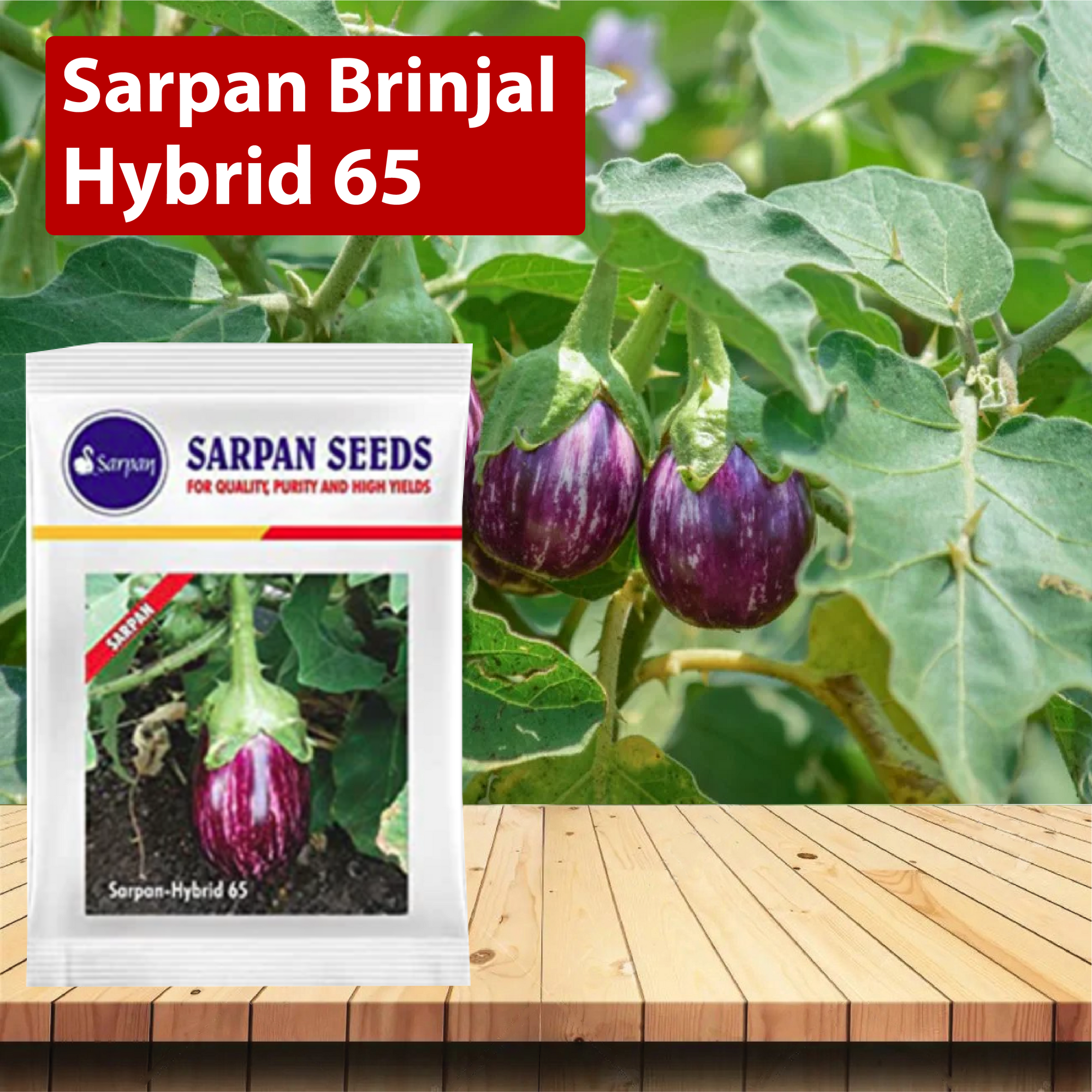 Sarpan Brinjal-65 Seeds - Agriplex