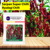 Sarpan Super Chilli - Byadagi Chilli Seeds - Agriplex