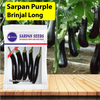 Sarpan Purple Brinjal Long - 201 Seeds - 20 GM - Agriplex