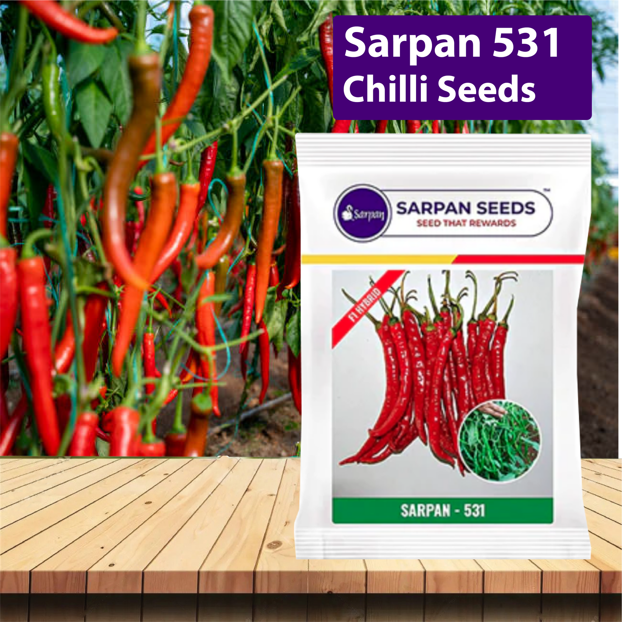 Sarpan 531 Chilli Seeds - Agriplex