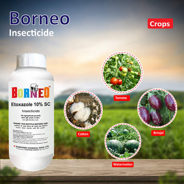 Sumitimo Borneo Insecticide - 500 ML