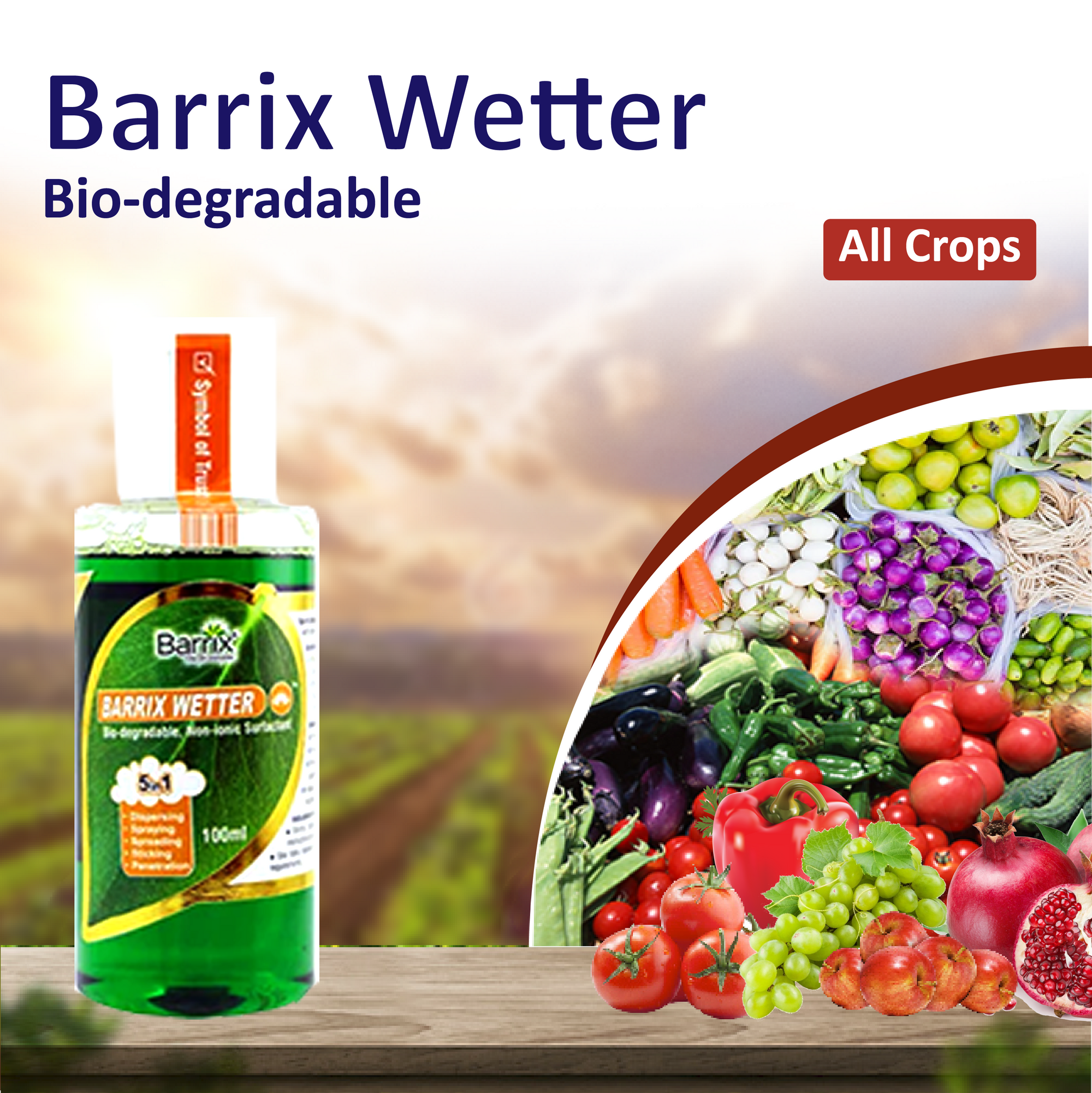 Barrix Wetter - 100 ML