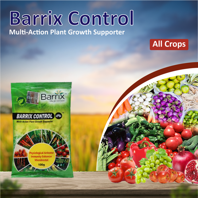 Barrix Control - 20 GM